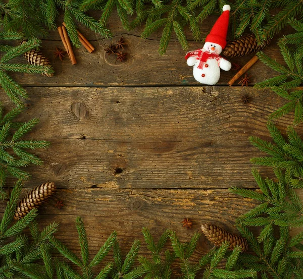 Ramo dell'albero di Natale con coni, cannella, dittany e christma — Foto Stock
