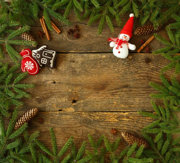 コーン、シナモン、dittany、クリスマス ツリーをクリスマス ツリー ブランチ — ストック写真