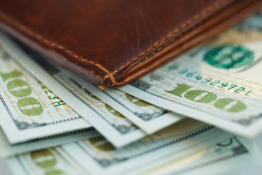 Kahverengi deri cüzdan ABD dolar para ile