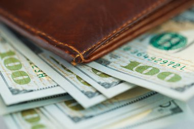 Kahverengi deri cüzdan ABD dolar para ile