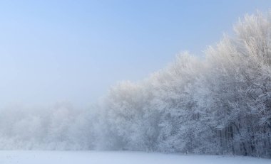 soğuk kış günü, güzel hoarfrost ve ağaçları in Rime ı