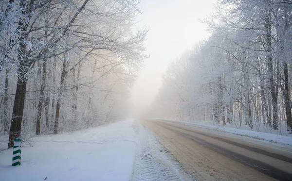 Дорога в зимовому пейзажі в лісі — стокове фото