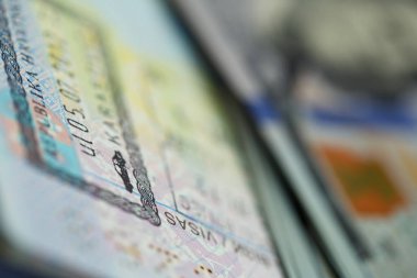Üst kısmında açılan pasaport Amerikan paradır
