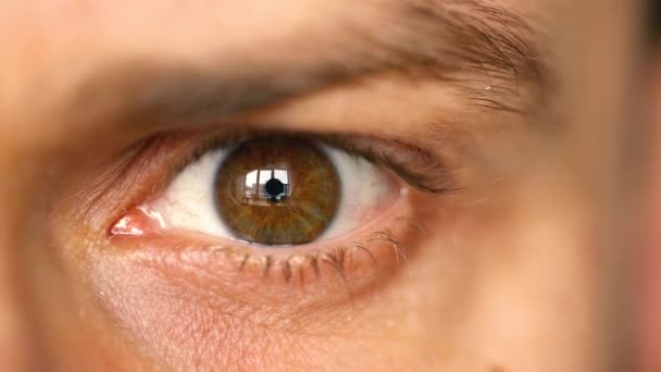 Schöne blinkende männliche Augen Nahaufnahme — Stockvideo