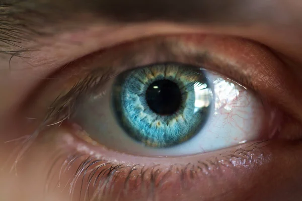 Beautiful male eye close-up — Stock Photo, Image