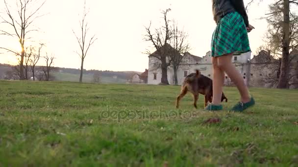 Frau spielt mit süßem Hund auf Burggelände — Stockvideo