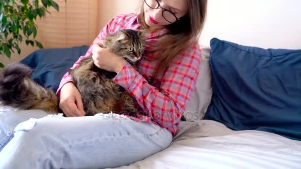 Mulher bonita acariciando e abraçando gato no sofá — Vídeo de Stock