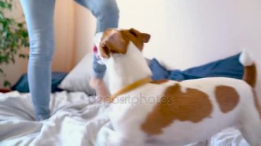 Kız yatakta köpek ile birlikte atlama