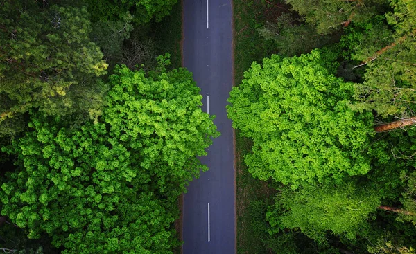 Road through the forest, aerial view — Stock Photo, Image