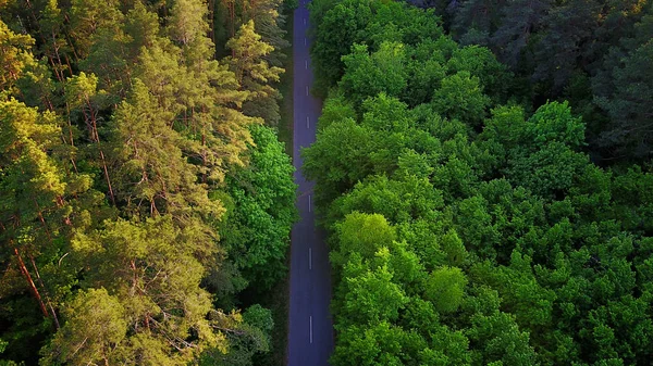 Jalan melalui hutan, pandangan udara — Stok Foto