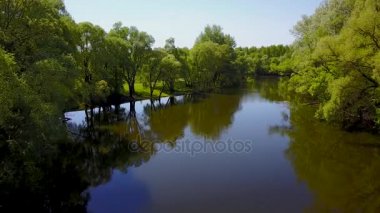 Uçuş Seim nehir, Ukrayna - ağaçlarıyla çevrili üzerinde hava videoya