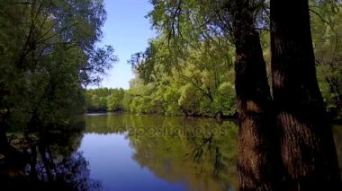Uçuş Seim nehir, Ukrayna - ağaçlarıyla çevrili üzerinde hava videoya