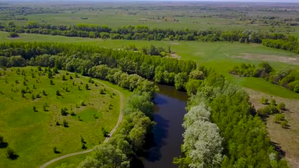 Uçuş Seim nehir, Ukrayna - ağaçlarıyla çevrili üzerinde hava videoya — Stok video