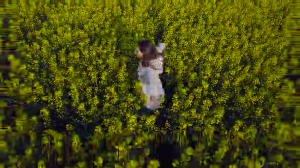 Jeune femme avec les bras tendus dans un champ de canola jaune — Video