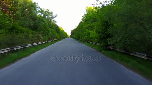 Дорога через лес - аэросъемка — стоковое видео