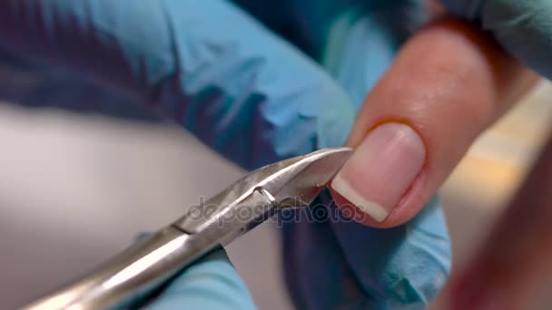 Manicure process in beauty salon, close up — Stock Video