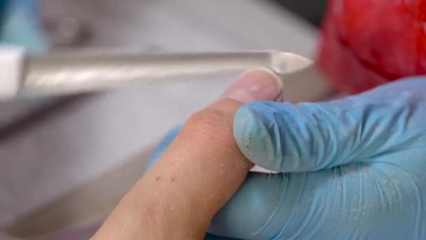 Processo de manicure no salão de beleza, close-up — Vídeo de Stock