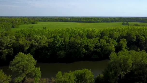 Flight over the Seim River, Ukraine surrounded by trees - aerial videotaping — Stock Video