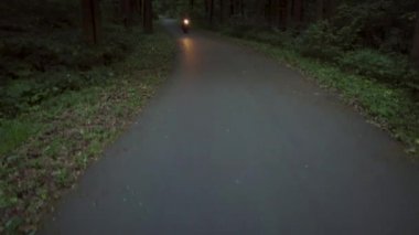 Ağaçlarla çevrili bir yol üzerinde bir motosiklet sürme motorcu
