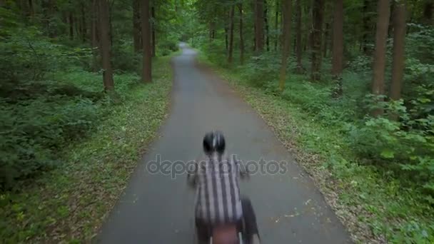 Байкер едет на мотоцикле по дороге, окруженной деревьями — стоковое видео