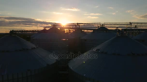 Vuelo bajo graneros y ascensores o almacenamiento de aceite al atardecer — Vídeo de stock