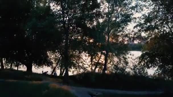 Volare sugli alberi e sul lago in città all'alba - ripresa aerea — Video Stock