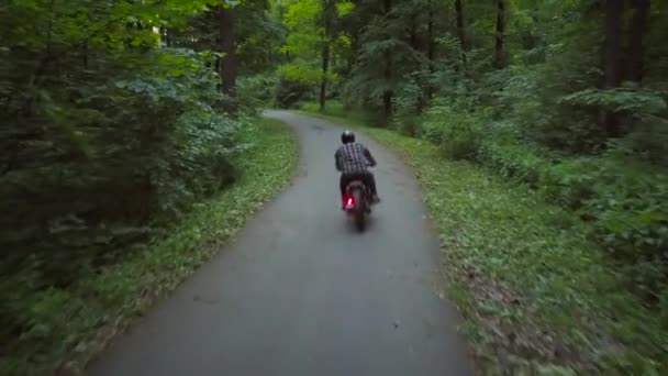 Motociclista in moto su una strada circondata da alberi — Video Stock