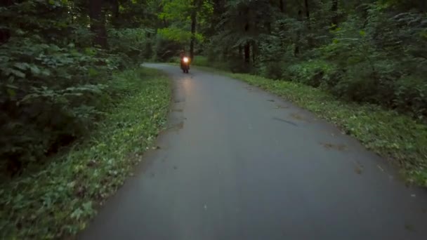 Байкер едет на мотоцикле по дороге, окруженной деревьями — стоковое видео