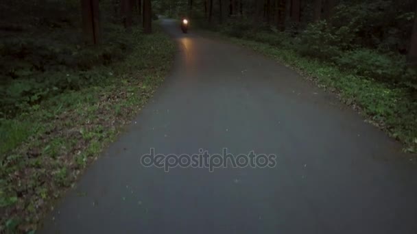 Biker rijden op een motorfiets op een weg die omgeven door bomen — Stockvideo