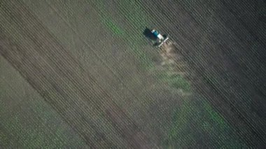 Sahada tohum traktör gerçekleştirir