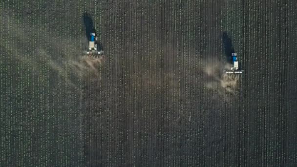 Två traktorer utför sådd på fältet — Stockvideo