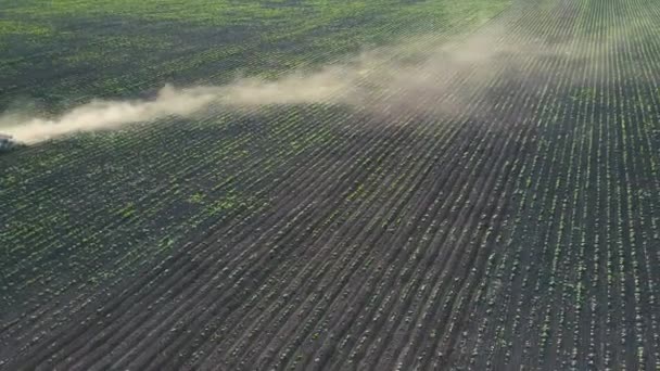 Tractor realiza siembra en el campo — Vídeos de Stock