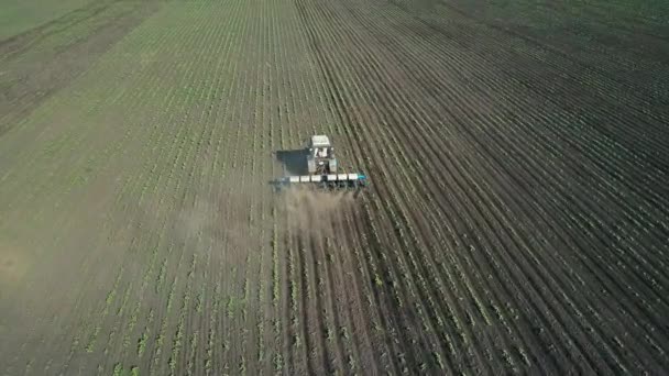 Trator realiza semeadura no campo — Vídeo de Stock