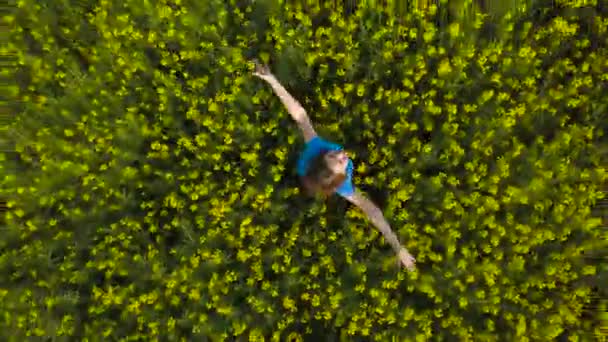 Young woman with arms outstretched in a yellow canola field — Stock Video