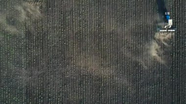 İki Traktörler gerçekleştirir sahaya tohum