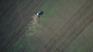 Sahada tohum traktör gerçekleştirir