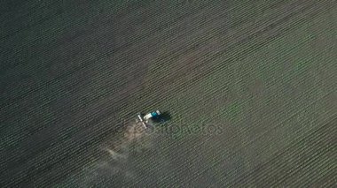 Sahada tohum traktör gerçekleştirir