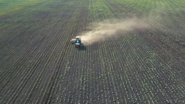 Tractor realiza siembra en el campo — Vídeos de Stock