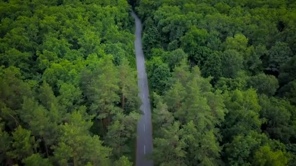 Дорога через лес, вид с высоты - аэросъемка — стоковое видео