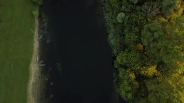 Uçuş ağaçlarıyla çevrili Seim nehir, Ukrayna en baştan - görüntülemek hava videoya