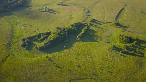 Luftaufnahme von Wiesen mit grünem Gras — Stockvideo