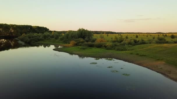 Vol au-dessus de la rivière Seim, Ukraine entouré d'arbres et de prairies sur ses rives, vue du haut - enregistrement vidéo aérien 
