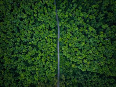 Ormana, yol göster yükseklikten - havadan fotoğraf