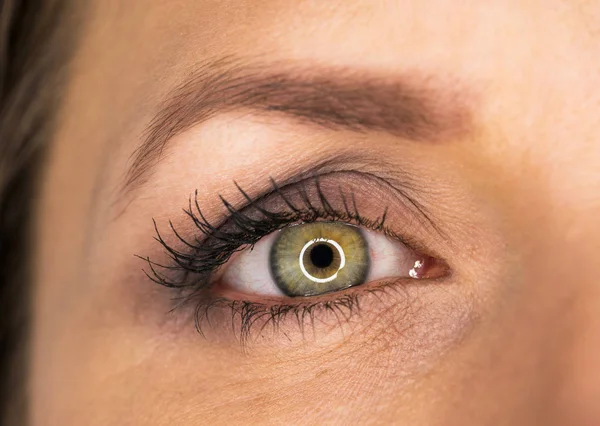 Красивый зеленый женский глаз крупным планом — стоковое фото