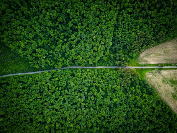 Road through the forest, view from height - aerial photo — Stock Photo, Image