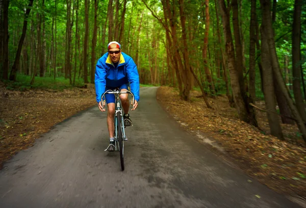 Чоловік середнього віку їде на шосейному велосипеді вздовж лісової дороги Стокове Фото