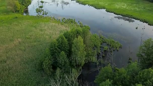 空中拍摄的沼泽地形和草甸 — 图库视频影像