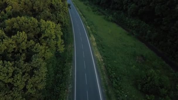 Route à travers la forêt, vue de la hauteur - levé aérien 