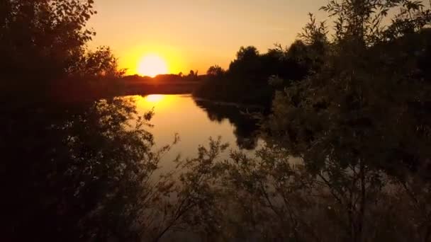 Vliegen over de bomen en de rivier bij dageraad - luchtfoto video-opnamen — Stockvideo