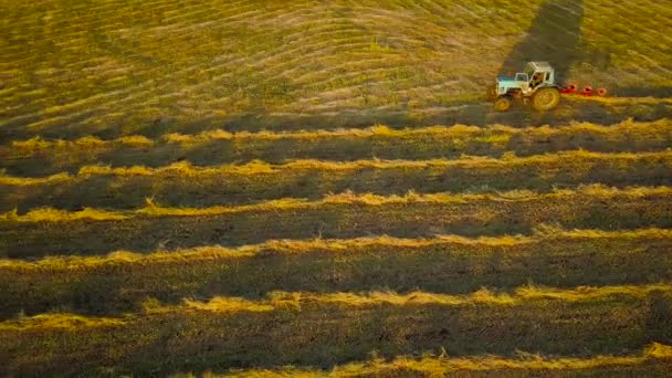 Τρακτέρ εκτελεί αγροτικές εργασίες στο χωράφι κατά το ηλιοβασίλεμα — Αρχείο Βίντεο